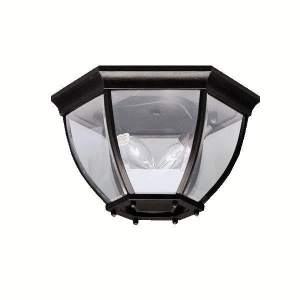 Outdoor Ceiling 2Lt - 9886BK