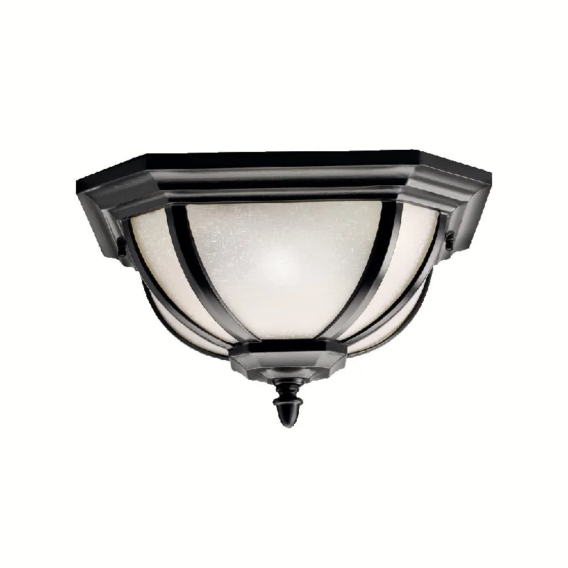 Salisbury - Outdoor Ceiling 2Lt - 9848BK