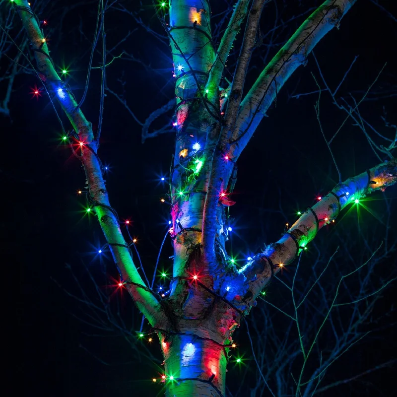 LED String Lights with Warm White GlowPro Connect 50m 500 Multi Coloured Connectable String Lights Black Cable LED String Lights with Warm White GlowPro Connect 50m 500 Multi Coloured Connectable String Lights Black Cable