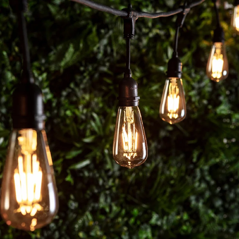 String Lights for Camping TripsIngenious Connect 10 Squirrel Cage Bulb Festoon Light Bundle String Lights for Camping TripsIngenious Connect 10 Squirrel Cage Bulb Festoon Light Bundle