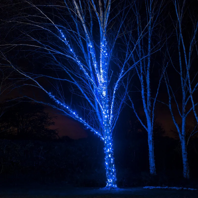 String Lights for Seasonal Decorations (Spring, Fall, etc.)Pro Connect 160m 1600 Blue Connectable String Lights Black Cable String Lights for Seasonal Decorations (Spring, Fall, etc.)Pro Connect 160m 1600 Blue Connectable String Lights Black Cable