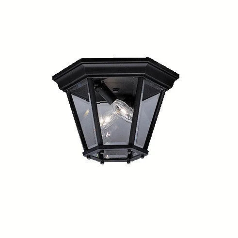 Madison - Outdoor Ceiling 2Lt - 9850BK