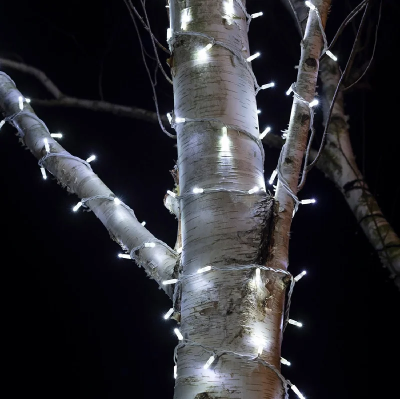 String Lights with Multicolored Bulbs for Festive OccasionsPro Connect 65m 650 White Connectable String Lights White Cable String Lights with Multicolored Bulbs for Festive OccasionsPro Connect 65m 650 White Connectable String Lights White Cable
