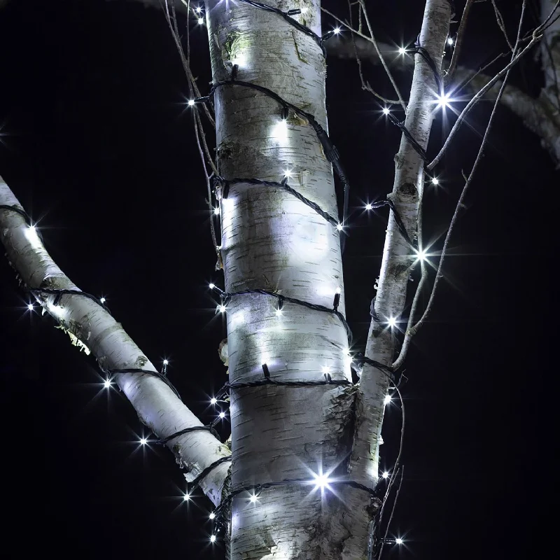 String Lights for Seasonal Decorations (Spring, Fall, etc.)Pro Connect 50m 500 White Connectable String Lights Black Cable String Lights for Seasonal Decorations (Spring, Fall, etc.)Pro Connect 50m 500 White Connectable String Lights Black Cable
