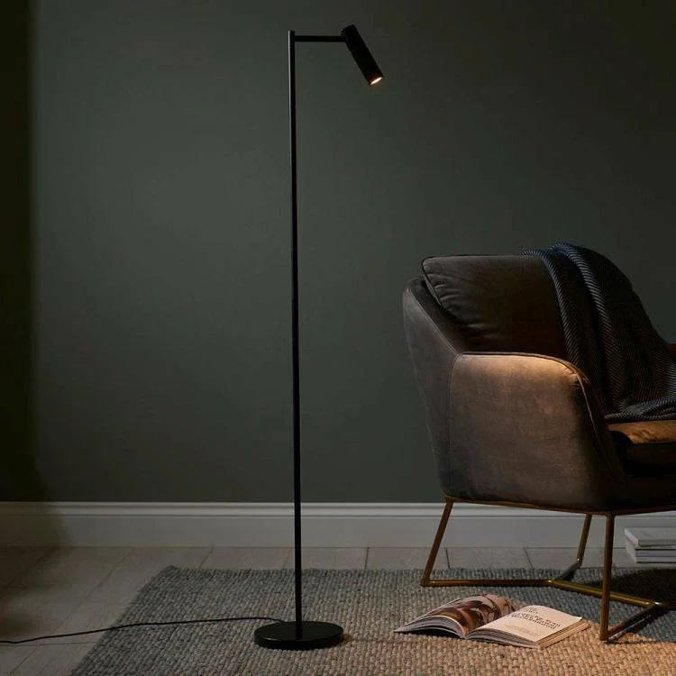 Adjustable Height Floor Lamp for Versatile Lighting NeedsDedicated Reader Task Floor Lamp Matt Black